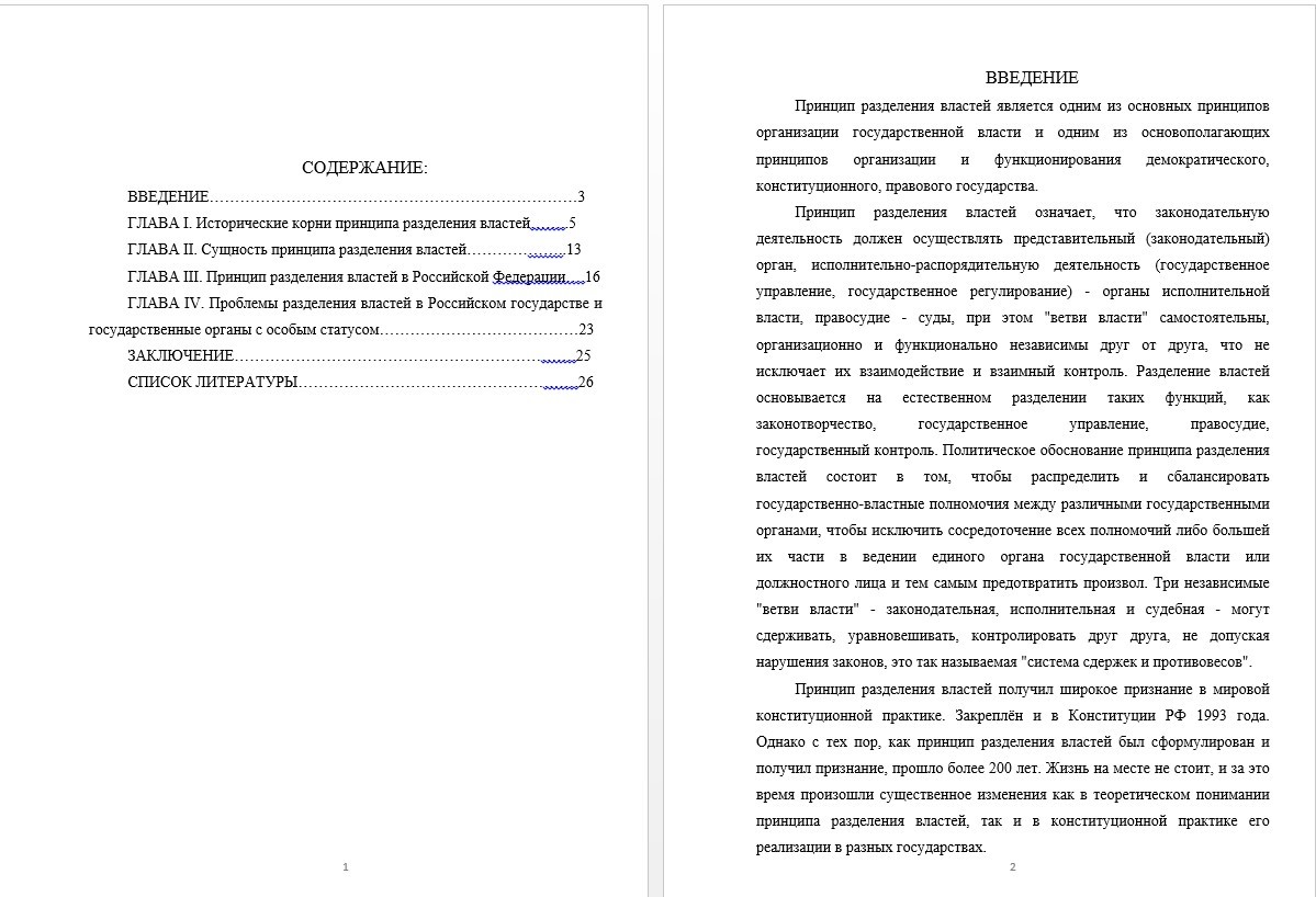 Курсовая работа - Принципы разделения властей в конституционном строе России (000398)