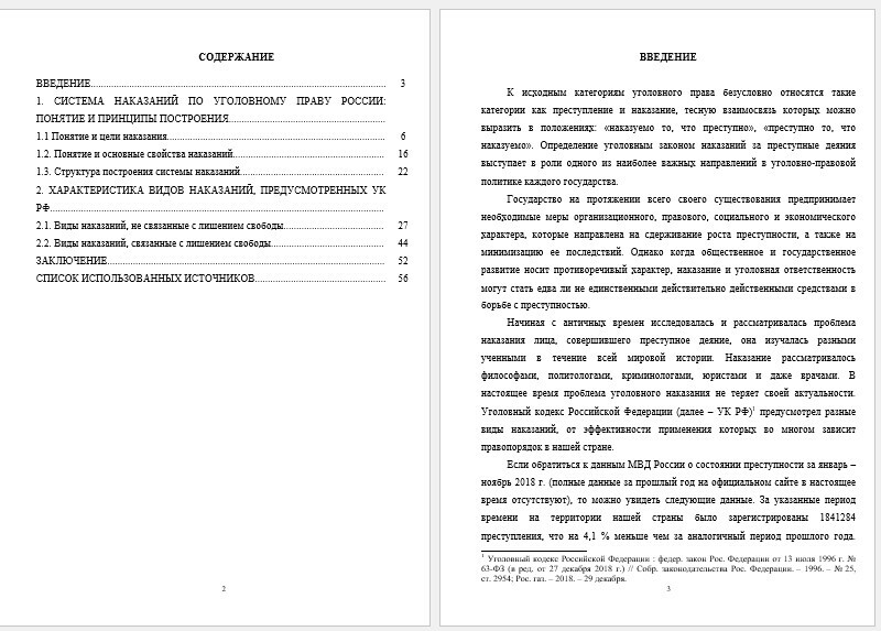 Курсовая работа - Система наказаний по уголовному праву России (002113)