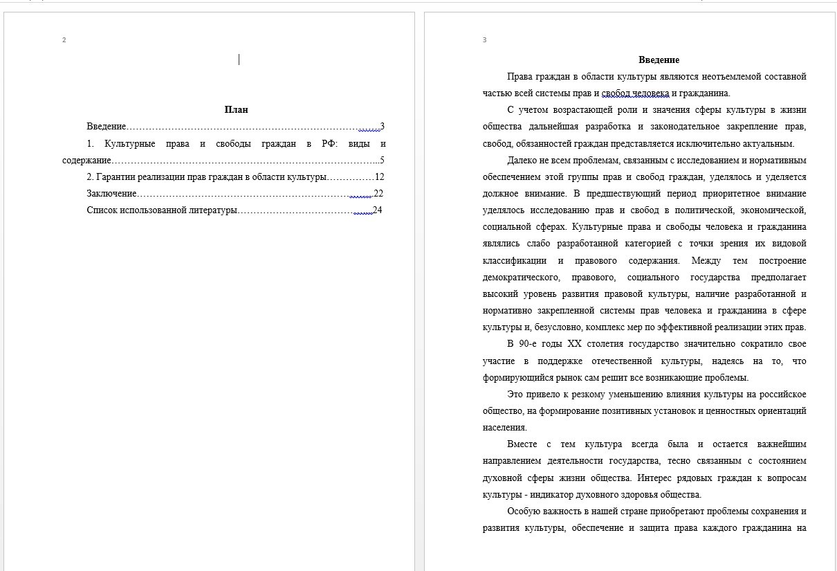 Реферат - Культурные права и свободы граждан в РФ (000407)