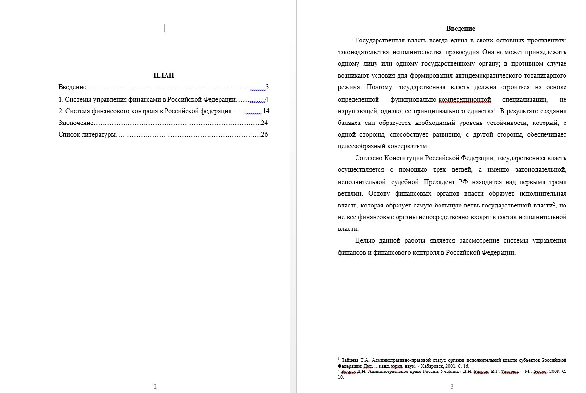 Реферат - Системы управления финансами и финансового контроля в Российской Федерации (001081)