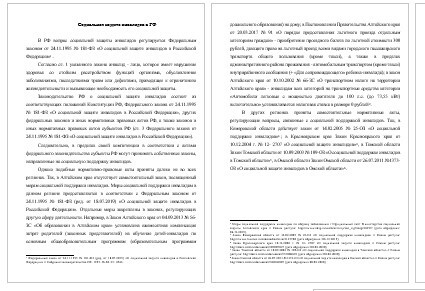 Доклад - Социальная защита инвалидов в РФ (001886)