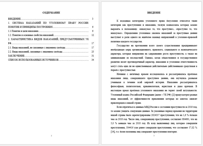 Курсовая работа - Актуальные проблемы системы уголовных наказаний в России (002104)
