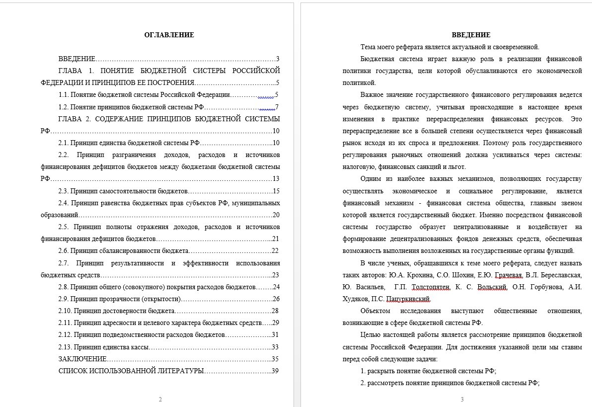 Реферат - Принципы бюджетной системы РФ (001080)